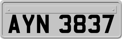 AYN3837