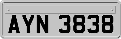 AYN3838