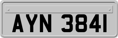 AYN3841