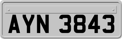 AYN3843