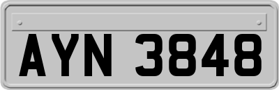 AYN3848
