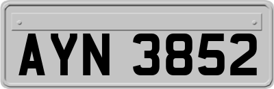 AYN3852