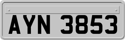 AYN3853