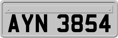 AYN3854