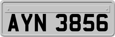 AYN3856