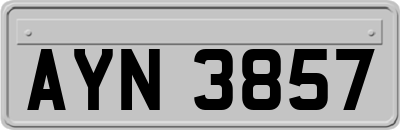 AYN3857