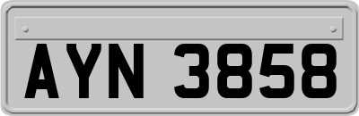 AYN3858