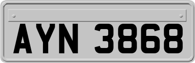 AYN3868