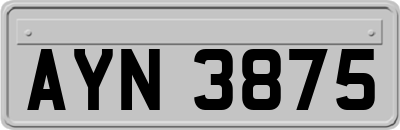 AYN3875