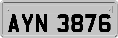 AYN3876