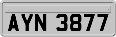 AYN3877