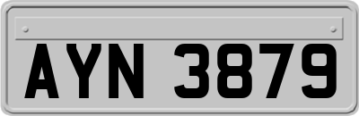 AYN3879
