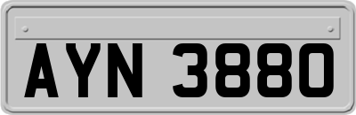 AYN3880