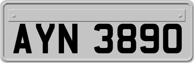 AYN3890