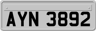 AYN3892