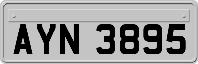 AYN3895