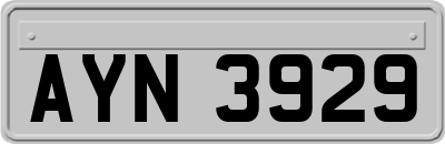 AYN3929