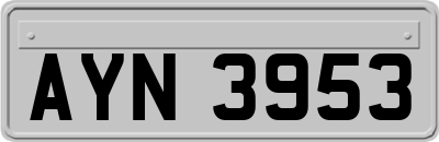 AYN3953