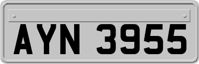 AYN3955