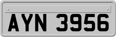 AYN3956