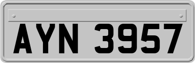 AYN3957