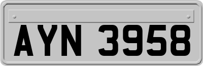 AYN3958