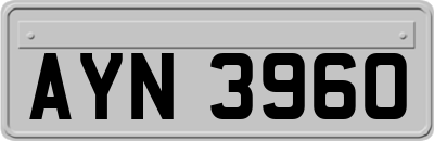 AYN3960