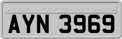 AYN3969