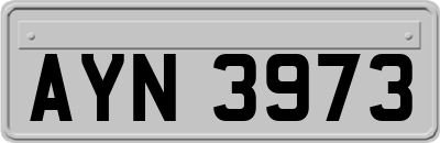 AYN3973