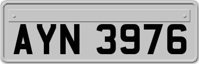 AYN3976