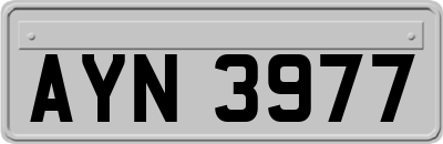 AYN3977