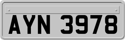 AYN3978