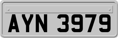 AYN3979