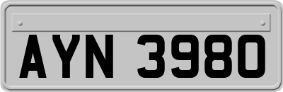 AYN3980