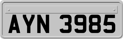 AYN3985
