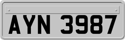 AYN3987