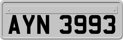 AYN3993