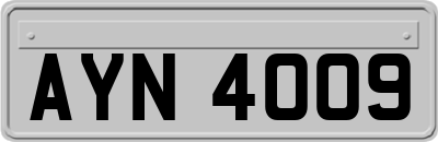 AYN4009
