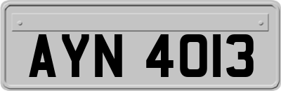 AYN4013