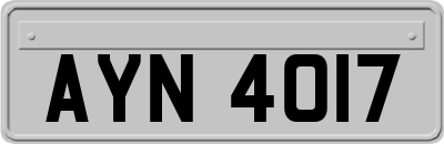 AYN4017