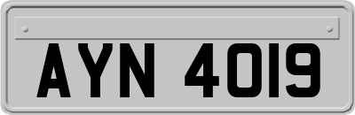 AYN4019