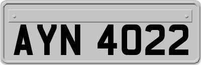 AYN4022