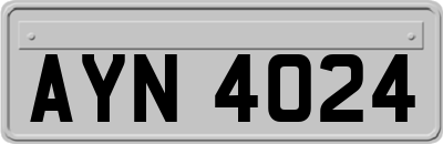 AYN4024