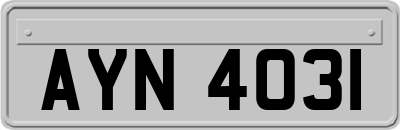 AYN4031