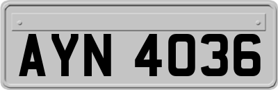 AYN4036