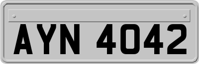 AYN4042