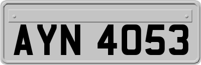 AYN4053