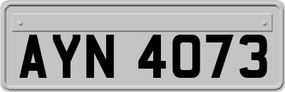 AYN4073