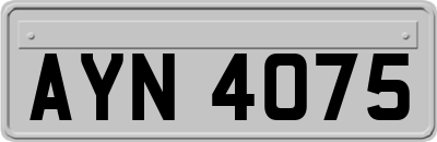 AYN4075