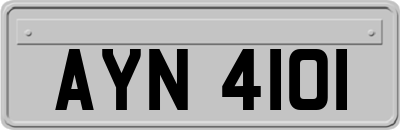AYN4101